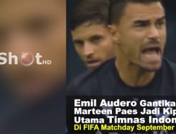 Emil Audero Jadi Kiper Utama Timnas Indonesia Gantikan Marteen Paes
