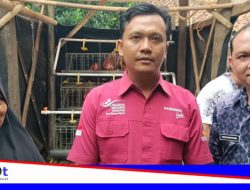 Kecamatan Manonjaya Berdayakan KPM PKH Melalui Usaha Ternak Ayam Petelur